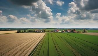 Deutsche Wiedervereinigung nach 35 Jahren: Mehrheitlich positiver Blick, aber Handlungsbedarf bei Wohlstandsverteilung und gegenseitigem Verständnis