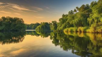 inb4 Bedeutung: Alles, was du über die Abkürzung und ihren Ursprung wissen musst inb4 Bedeutung: Alles, was du über die Abkürzung und ihren Ursprung wissen musst