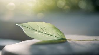 psychologische aspekte der duennhaeutigkeit Psychologische Aspekte der Dünnhäutigkeit